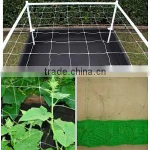(cucumber Support Net,crop Support Netting,pea and Bean Netting,trellis Support Netting)Plant Support Net photo-2