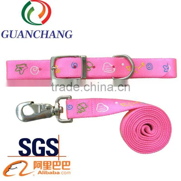 Dog Collar and Leash