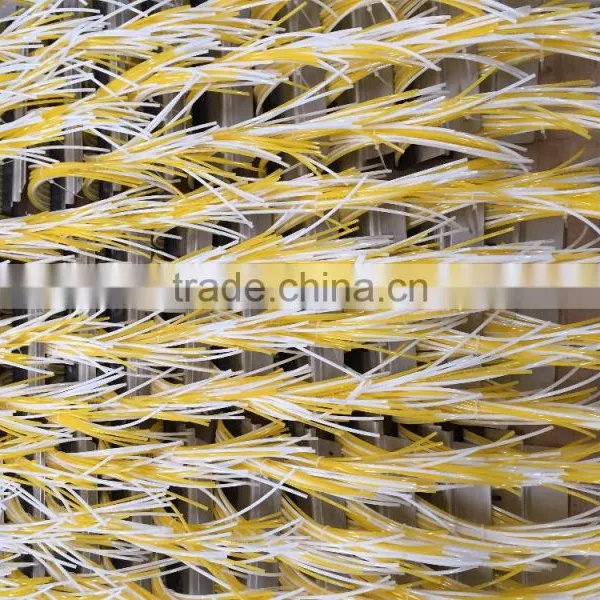 CCD Dried Fruits Optical Color Sorter Machine photo-5