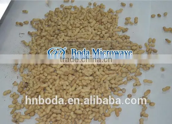 Cashew Nut Roasting Sheling Machine photo-2
