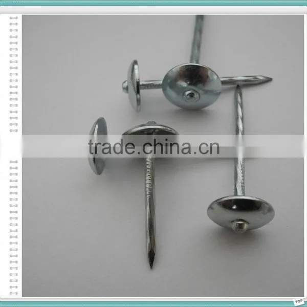 Umbrella Head Roofing Nail of 50kg Gunny Bag photo-2