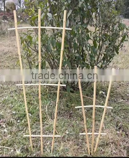 Manufacturer of Bamboo Cane Trellis Garden Bamboo Trellis for Planting photo-6