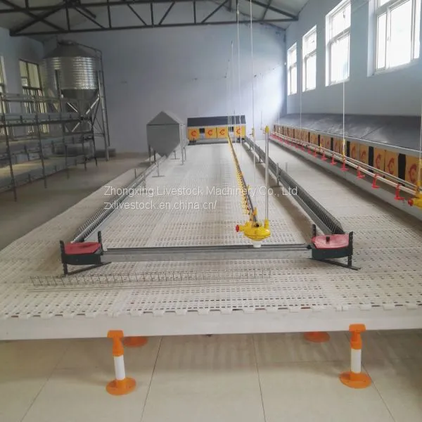 Automatic Chicken Chain Feeding System photo-3