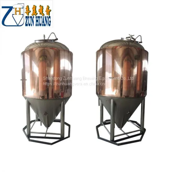 Red Copper Stainless Steel 500 Liter Beer Brewing Equipment Fermenting System Fermenter Fermentor for Bar photo-2