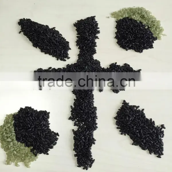 Black Rice photo-2