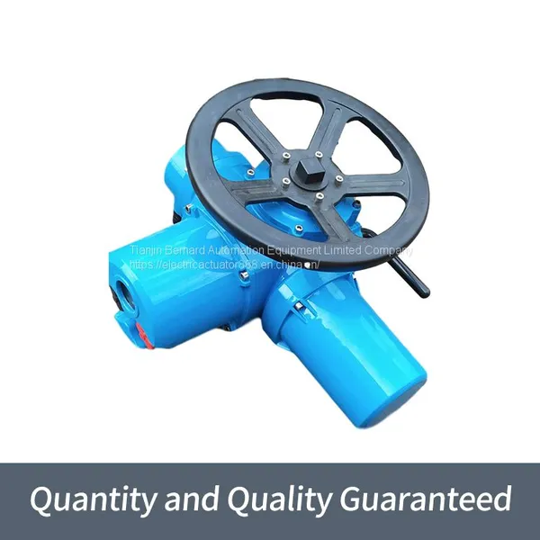 Bernard Multi-rotary Electric Actuator DZW10 Switch Type Valve Electric Device photo-4