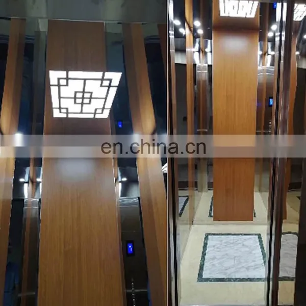 Designhome Passenger Residential Small Elevator Lift Hot Selling Hot Quality Classic for Villa House Customized 1 YEAR photo-2