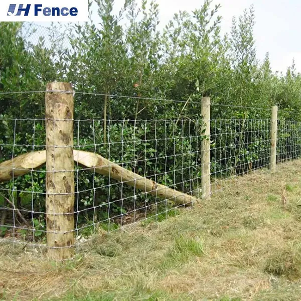 Australia Animals Security Fence Galvanized Field Wire Mesh for Sheep Deer Horse Hinge Joint Form Farm Wire Mesh photo-2