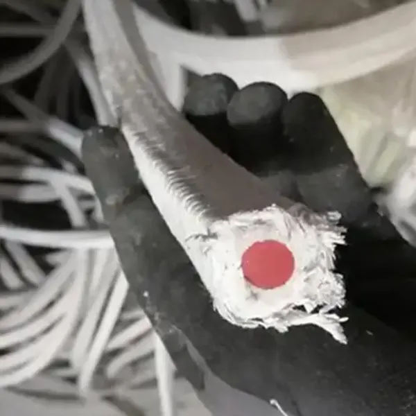 PTFE Packing With Silicon Core photo-3