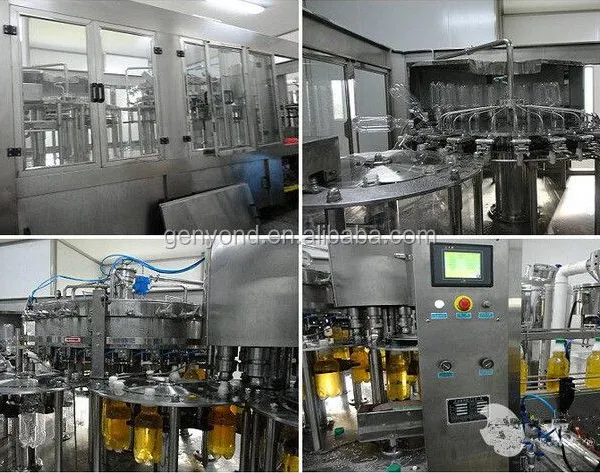 Small Capacity Hawthorn Juice/fresh Fruit Juice Production Line /plant /processing Line /equipment photo-3
