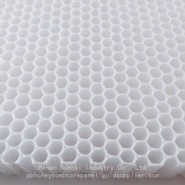 PP Honeycomb Plastic Honeycomb Core Used for Air Filter Element photo-2