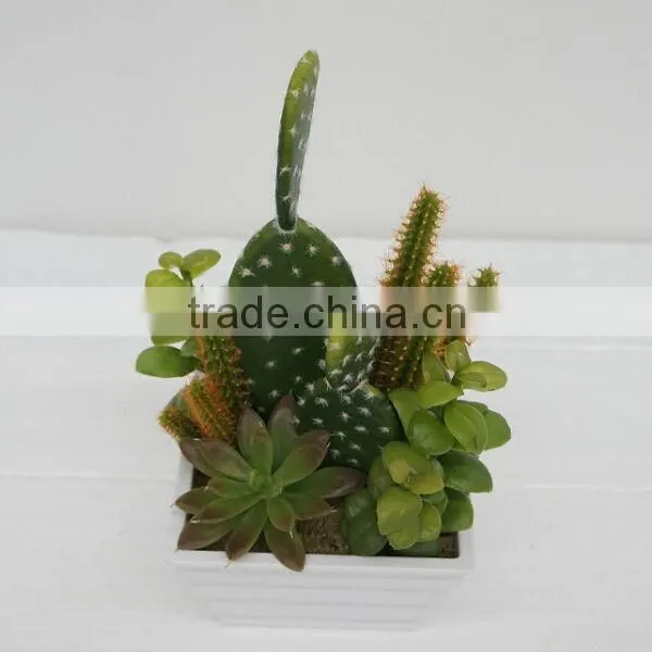 New Arrival Decorative Artificial Plants/ Succulent Plants Mixed Series photo-2