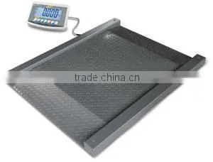 Heavy Duty Scale