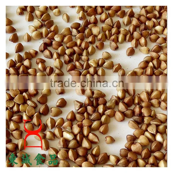 Roasted Buckwheat Organice Grains Wholesale photo-6