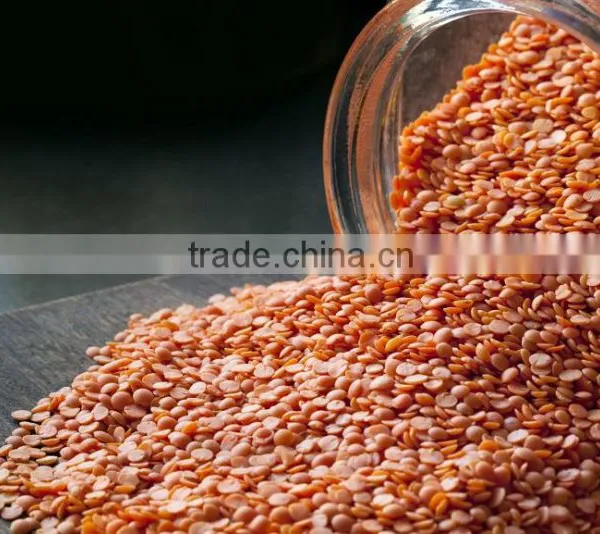 Best Quality DRIED Green Lentils | Red Lentils | Brown Lentils photo-2