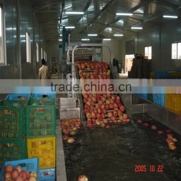 Persian Limes Sorter Machine photo-4