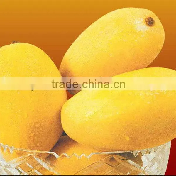 Honey Mango