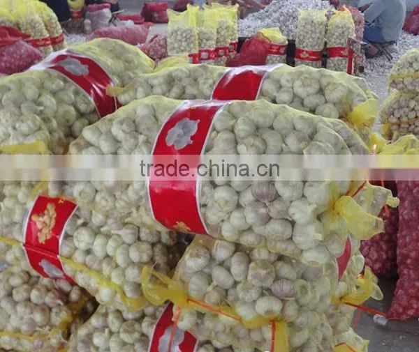 2016 Red Garlic Price From China Garlic