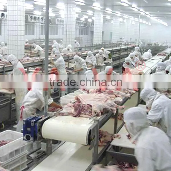 Customized Food Grade Flat Belt Conveyor for Meat Processing photo-2