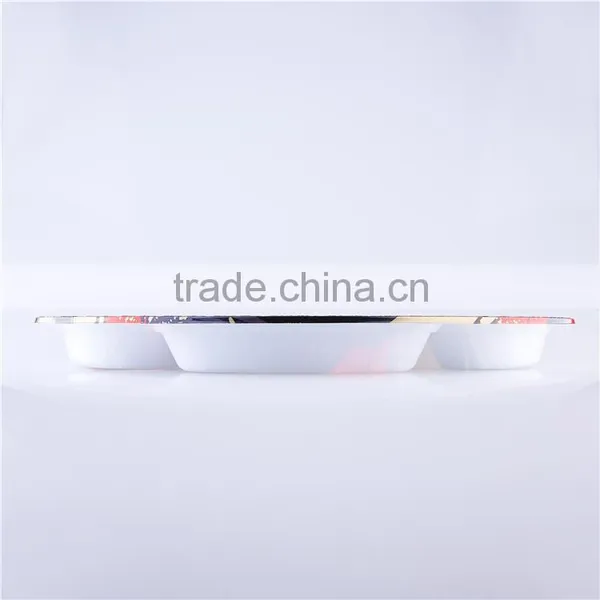 Disposable Plastic Plate for Food photo-3