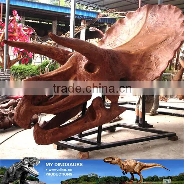 MY Dino-C087 Amusement Park Life Size Triceratops Skeleton photo-2