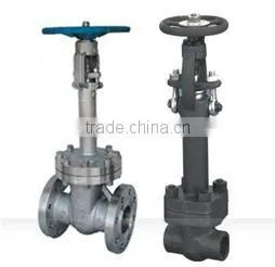 Cryogenic Gate Valve