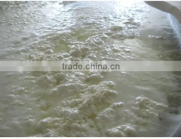 Cheese Processing Machinery photo-2