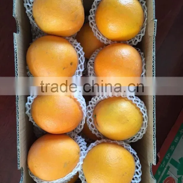 Fresh Gannan Navel Orange, Best Quality China Navel Orange photo-4