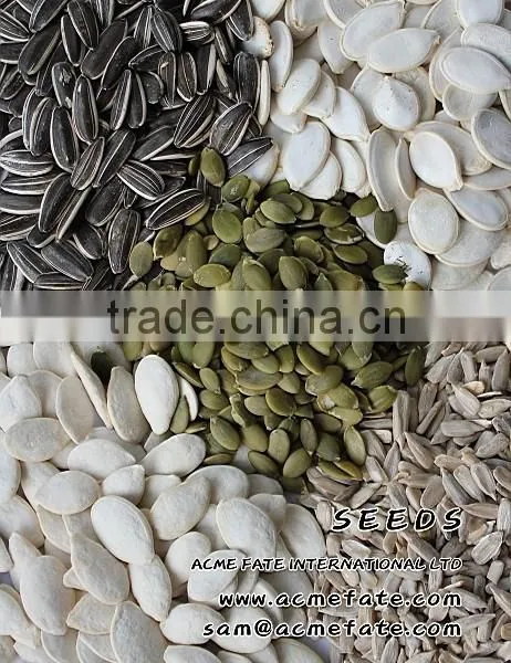 Wholesale Delicious Sunflower Seeds photo-5