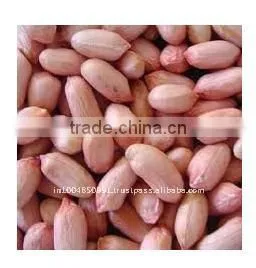 Top Sale Peanut