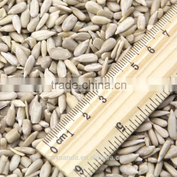 Wholesale Organic Sunflower Kernels Confectionery GRADE Direct From China photo-2