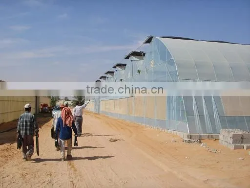 Commercial Greenhouses photo-6