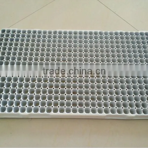 Seed Tray Color White