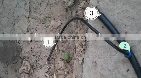 32mm Hdpe Pipe in Roll Price /hdpe Pipe Factory photo-2