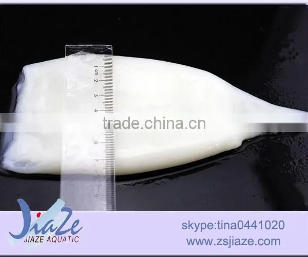 Frozen Squid Tube Illex Squid photo-2
