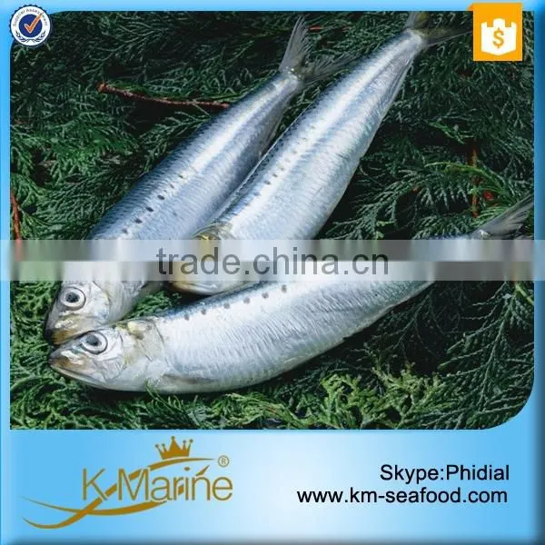 Frozen Wholesale Sardines Seafood Fish photo-2