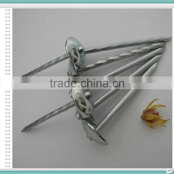 Corrugated Roofing Nails Manufacturers in China photo-2