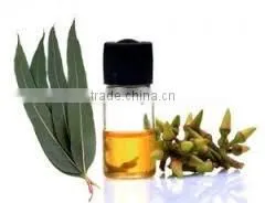 Eucalyptus Oil photo-3