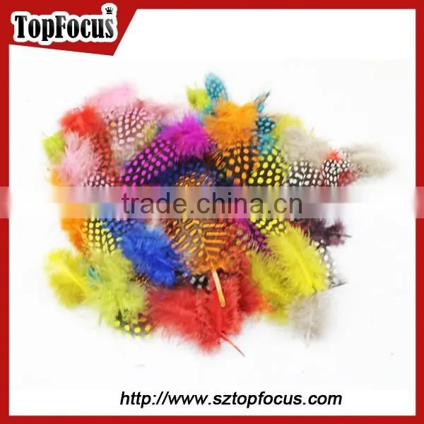 Cheap Dyed Guinea Fowl Wholesale Artificial Feathers for Carnival Costumes photo-5