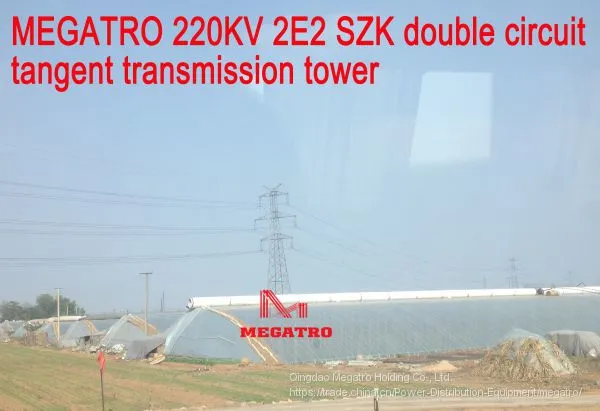 MEGATRO 220KV 2E2 SZK Double Circuit Tangent Transmission Tower photo-3