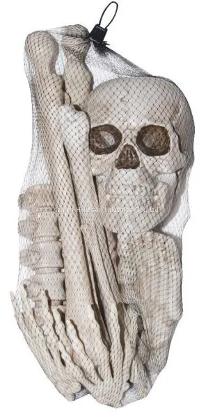 Halloween Skeleton 100% Plastic 5 FT Adult Lift Size Hanging Human Skeleton for Halloween Decoration photo-5