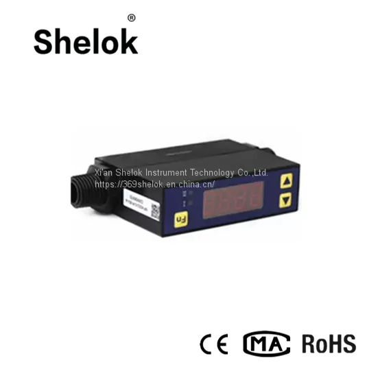 Analog Small Gas Mass Flowmeter Price photo-3