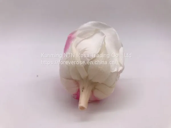 Preserved Rose Preserved Flowers Dried Flowers Birthday Valentine Party Wedding photo-5