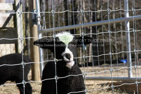 Anti-rust & Anti-corrosion Fixed Knot Cattle Fence photo-5