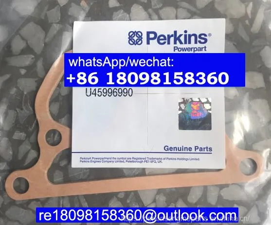Perkins Water Pump Gasket for 404C-22 403D-15 403F-15T 404D-22 Engines U45996990 145996990 BW1655
