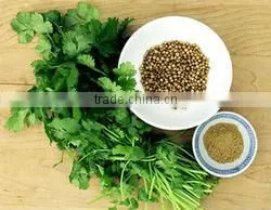 Coriander Seed