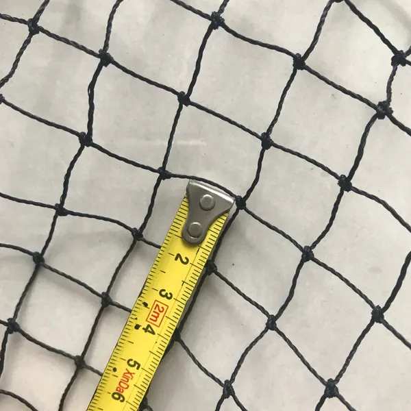 Black Knotted Anti Bird Netting Polyethylene Poultry Farming Chicken Pheasant Net photo-2