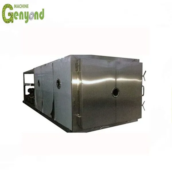 Shanghai FD Freeze Dried Plants Strawberry Powder High Quality Drying Equipment photo-4