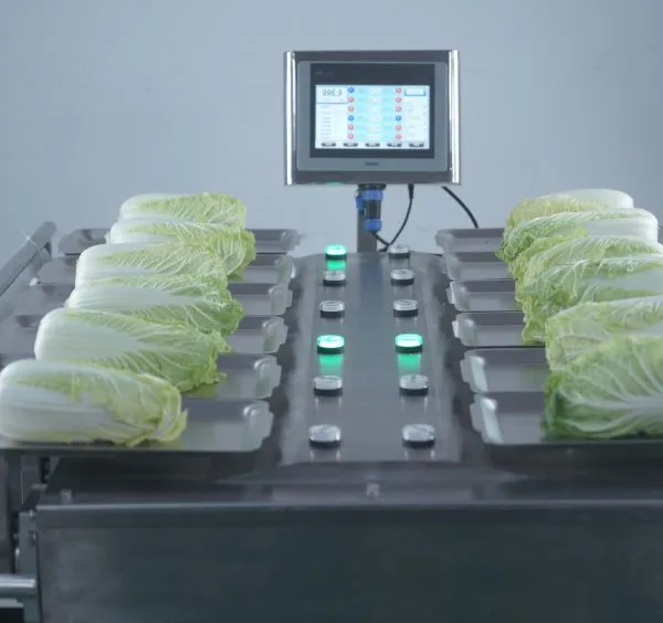 Manual 12 Heads 14 Heads Weighing Scale for Banana Apple Mango Fruit photo-3