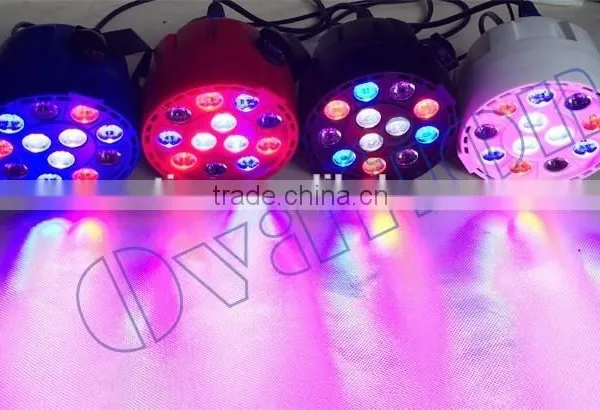 China ABS Cover High Strength - Partypar E112 Christmas Lights Projector photo-3